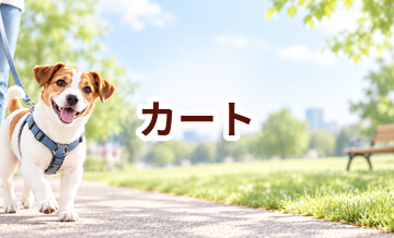 カートはいくら？価格帯と長く使うための選び方