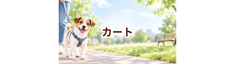 カートはいくら？価格帯と長く使うための選び方
