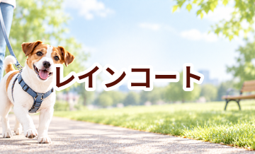 レインコートはいくら？価格帯と長く使うための選び方