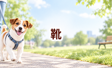 靴はいくら？価格帯と長く使うための選び方