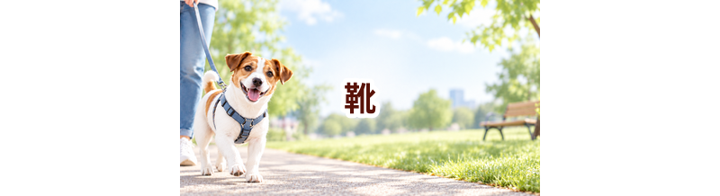 靴はいくら？価格帯と長く使うための選び方