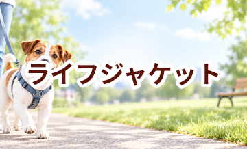 ライフジャケットはいくら？価格帯と長く使うための選び方