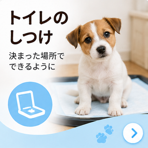 散歩のしつけ