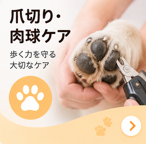 留守番・見守り用品