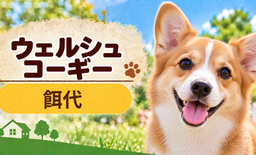 ウェルシュコーギーの餌代は月いくら？体重からドッグフード代をシミュレーション