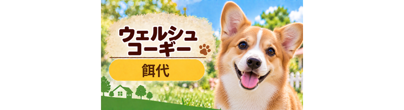 ウェルシュコーギーの餌代は月いくら？体重からドッグフード代をシミュレーション