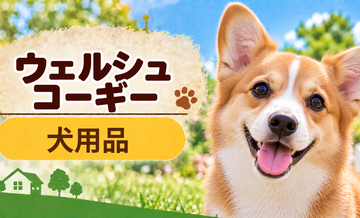 ウェルシュコーギー向け犬用品の選び方｜ケージ・ベッド・ハーネスをまとめて確認