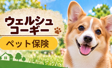 ウェルシュコーギーのペット保険料はいくら？加入前に確認したい補償と費用