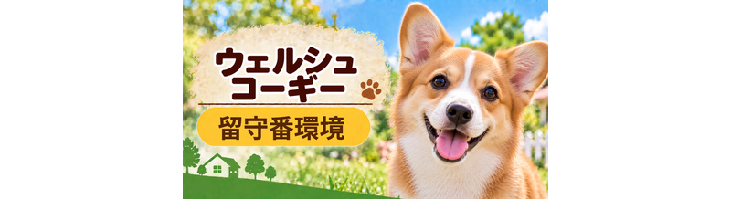 ウェルシュコーギーの留守番環境を整える｜安全対策と便利グッズ