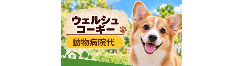 ウェルシュコーギーの動物病院代は年間いくら？健康診断・予防・急な通院に備える