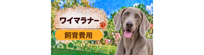 ワイマラナーを飼う費用はいくら？初期費用・年間費用・生涯費用を解説