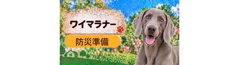 ワイマラナーの防災準備｜避難時に必要な用品と持ち出しリスト