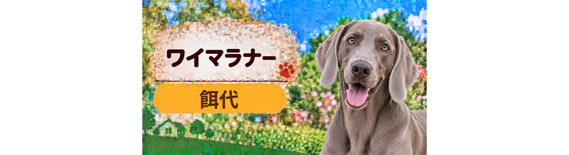 ワイマラナーの餌代は月いくら？体重からドッグフード代をシミュレーション