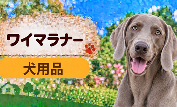ワイマラナー向け犬用品の選び方｜ケージ・ベッド・ハーネスをまとめて確認