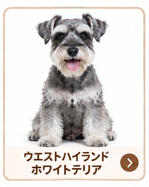 ウエストハイランドホワイトテリア