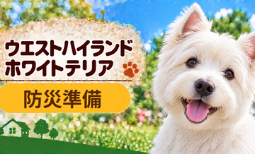 ウエストハイランドホワイトテリアの防災準備｜避難時に必要な用品と持ち出しリスト