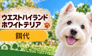 ウエストハイランドホワイトテリアの餌代は月いくら？体重からドッグフード代をシミュレーション