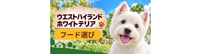 ウエストハイランドホワイトテリアのドッグフードはどう選ぶ？年齢・体格・食べ方に合わせた選び方