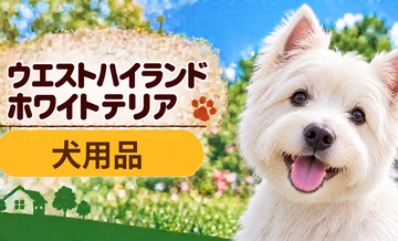 ウエストハイランドホワイトテリア向け犬用品の選び方｜ケージ・ベッド・ハーネスをまとめて確認