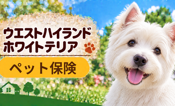 ウエストハイランドホワイトテリアのペット保険料はいくら？加入前に確認したい補償と費用