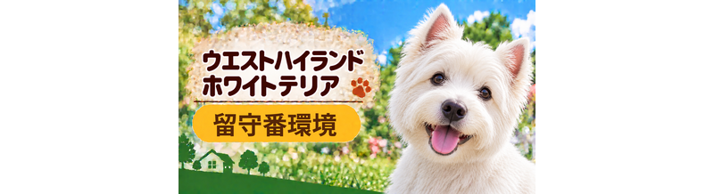 ウエストハイランドホワイトテリアの留守番環境を整える｜安全対策と便利グッズ