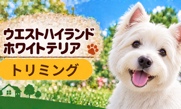 ウエストハイランドホワイトテリアのトリミング代はいくら？頻度と年間費用を計算