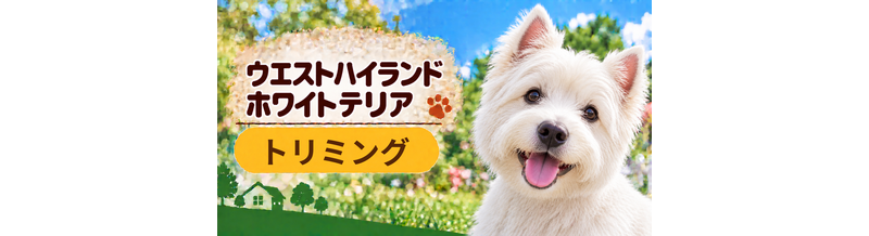 ウエストハイランドホワイトテリアのトリミング代はいくら？頻度と年間費用を計算