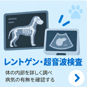 レントゲン・超音波検査