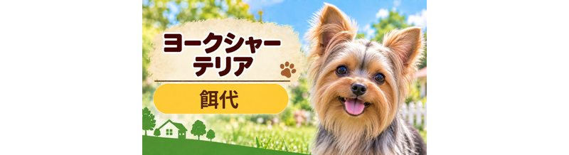 ヨークシャーテリアの餌代は月いくら？体重からドッグフード代をシミュレーション