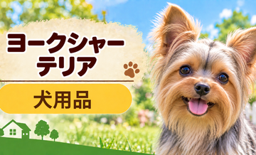 ヨークシャーテリア向け犬用品の選び方｜ケージ・ベッド・ハーネスをまとめて確認