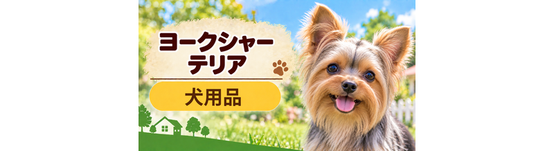 ヨークシャーテリア向け犬用品の選び方｜ケージ・ベッド・ハーネスをまとめて確認