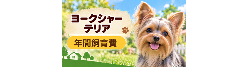ヨークシャーテリアの年間飼育費はいくら？固定費と臨時出費をまとめて計算