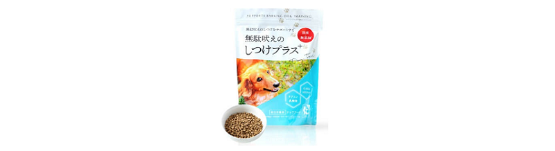 愛犬にかかる費用と病気は飼う前に知っておこう