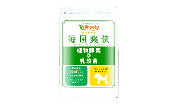 愛犬にかかる費用と病気は飼う前に知っておこう