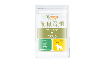 愛犬にかかる費用と病気は飼う前に知っておこう